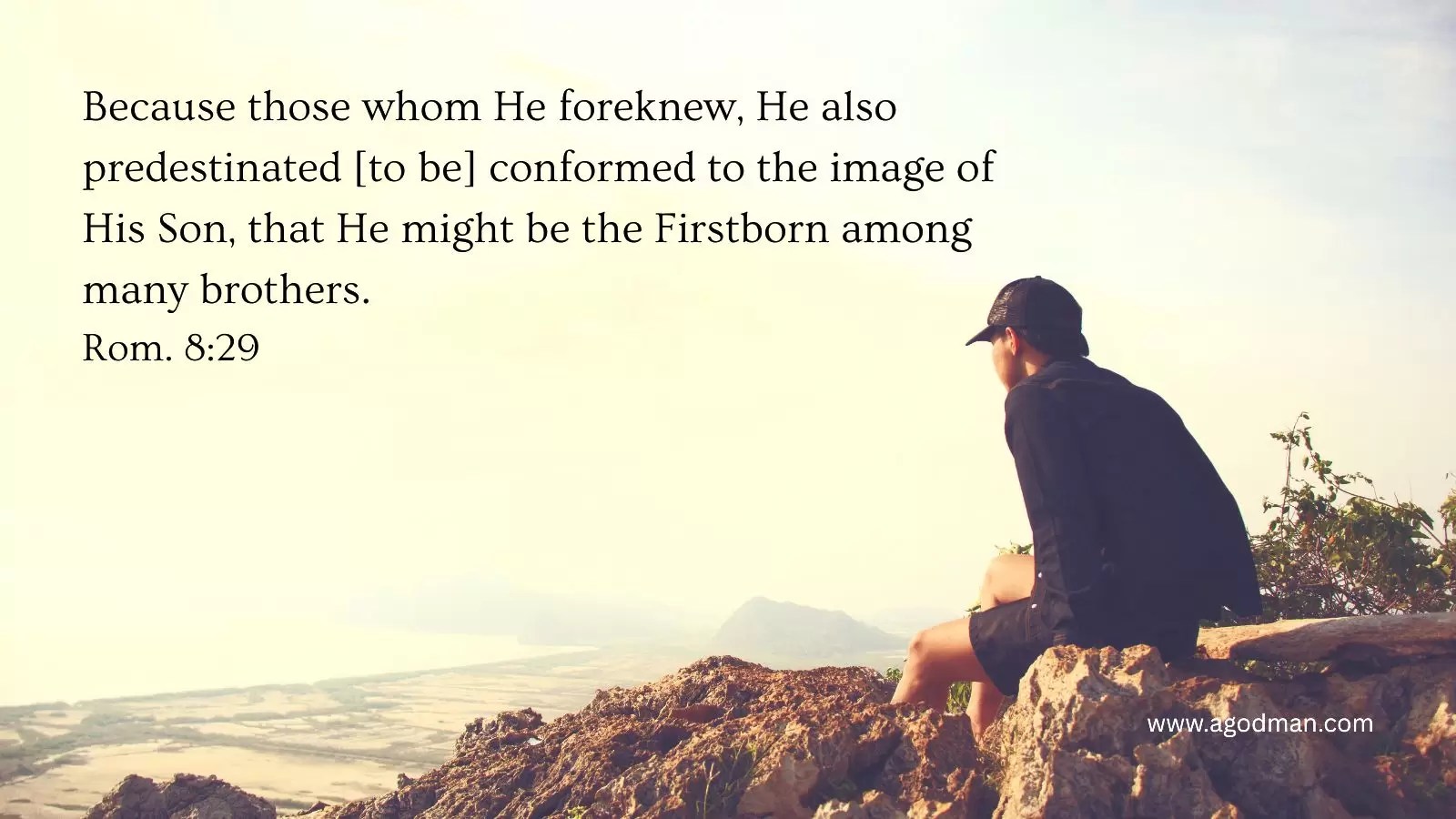 Because those whom He foreknew, He also predestinated [to be] conformed to the image of His Son, that He might be the Firstborn among many brothers. Rom. 8:29