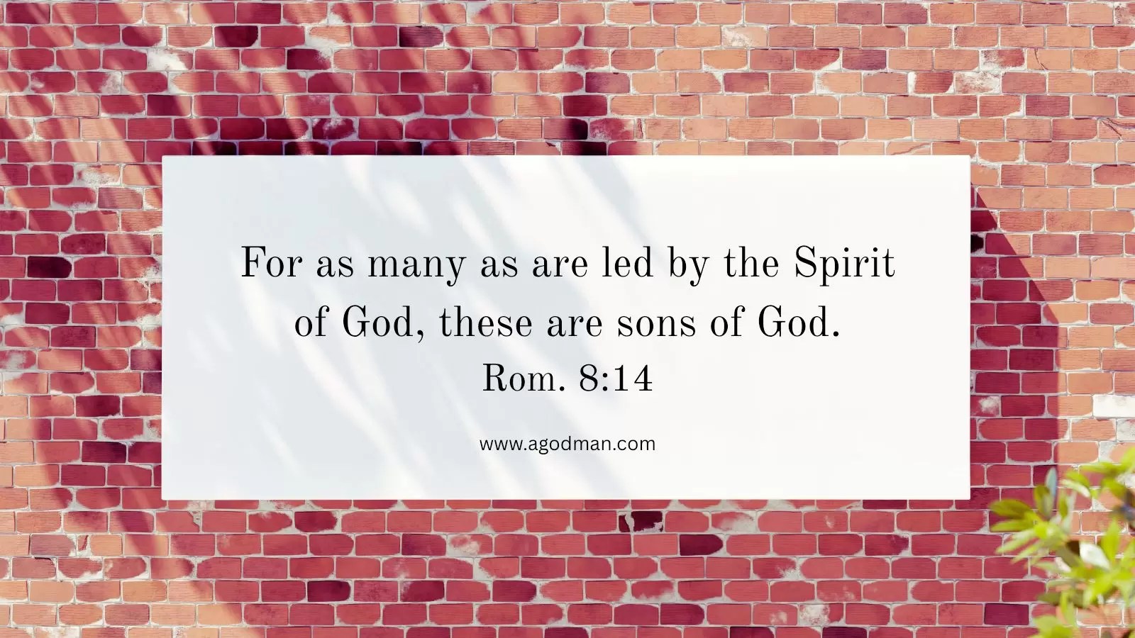 For as many as are led by the Spirit of God, these are sons of God. Rom. 8:14