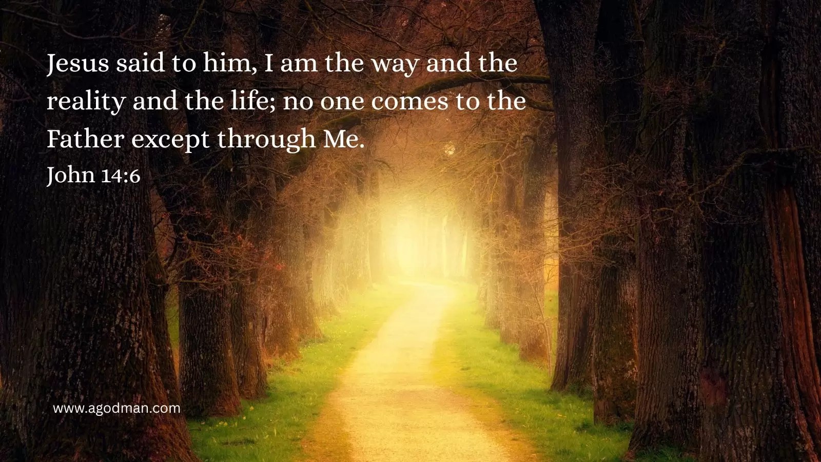 Jesus said to him, I am the way and the reality and the life; no one comes to the Father except through Me. John 14:6