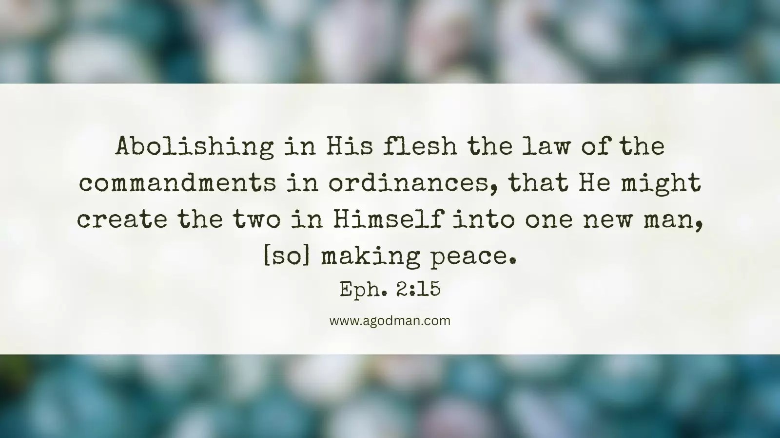 Abolishing in His flesh the law of the commandments in ordinances, that He might create the two in Himself into one new man, [so] making peace. Eph. 2:15