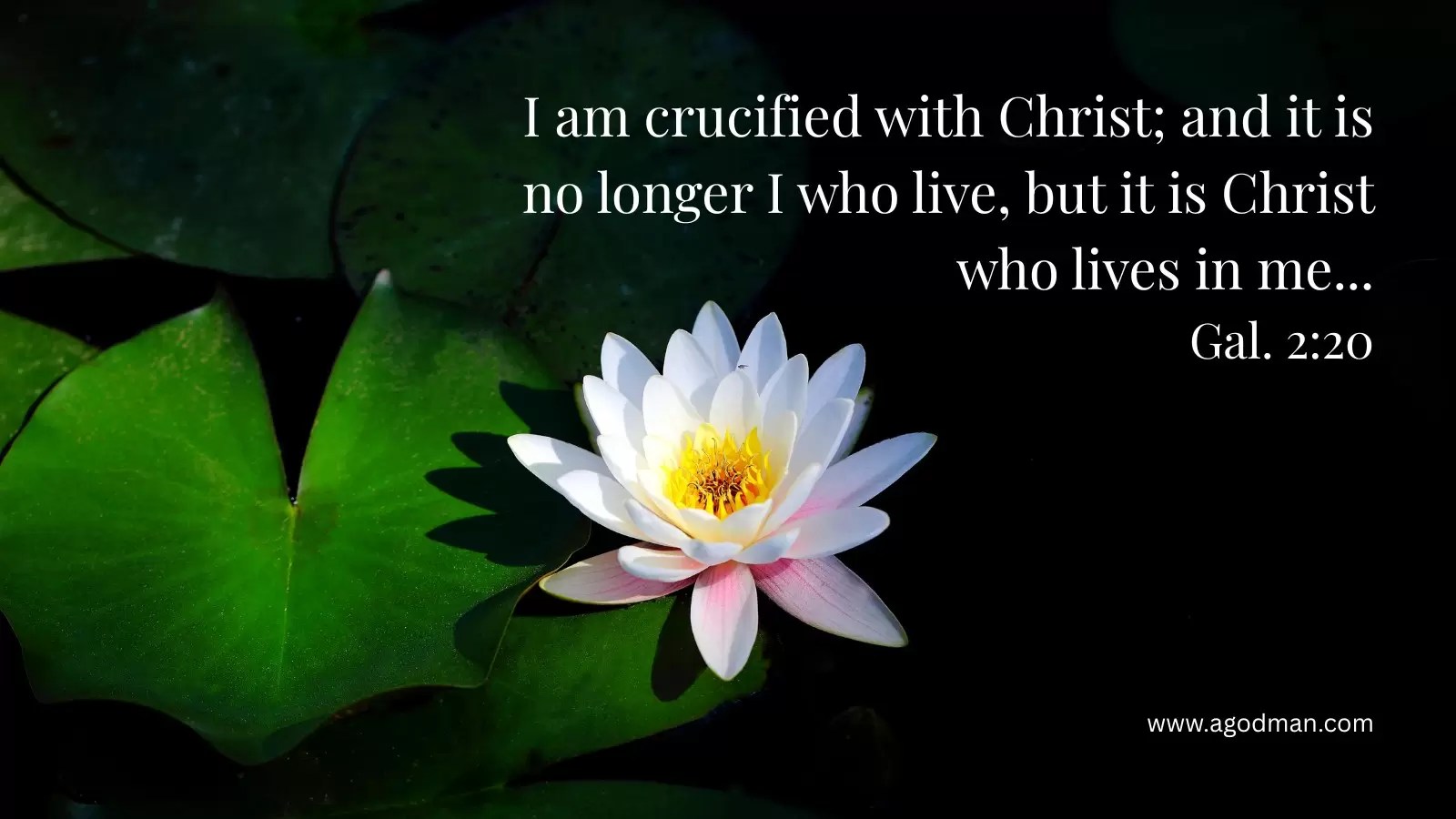 I am crucified with Christ; and it is no longer I who live, but it is Christ who lives in me... Gal. 2:20