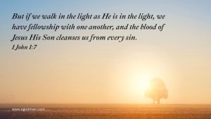 But if we walk in the light as He is in the light, we have fellowship with one another, and the blood of Jesus His Son cleanses us from every sin. 1 John 1:7