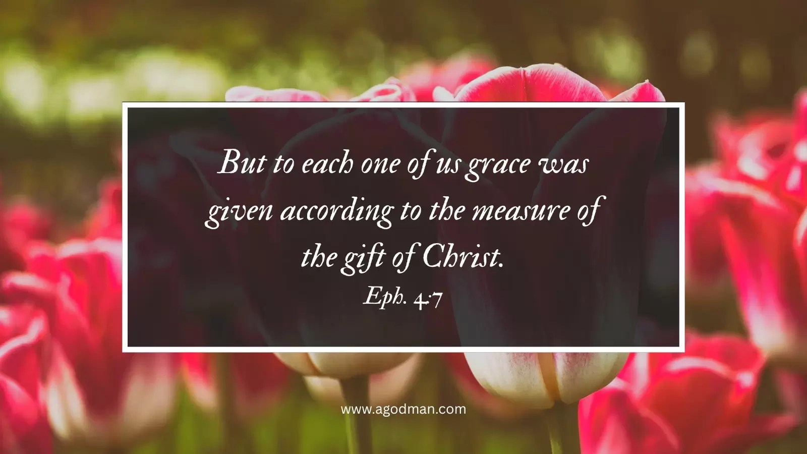 But to each one of us grace was given according to the measure of the gift of Christ. Eph. 4:7