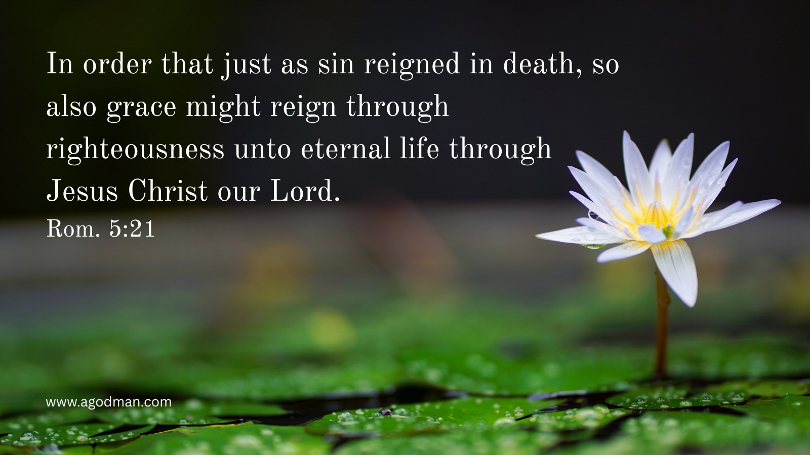 In order that just as sin reigned in death, so also grace might reign through righteousness unto eternal life through Jesus Christ our Lord. Rom. 5:21