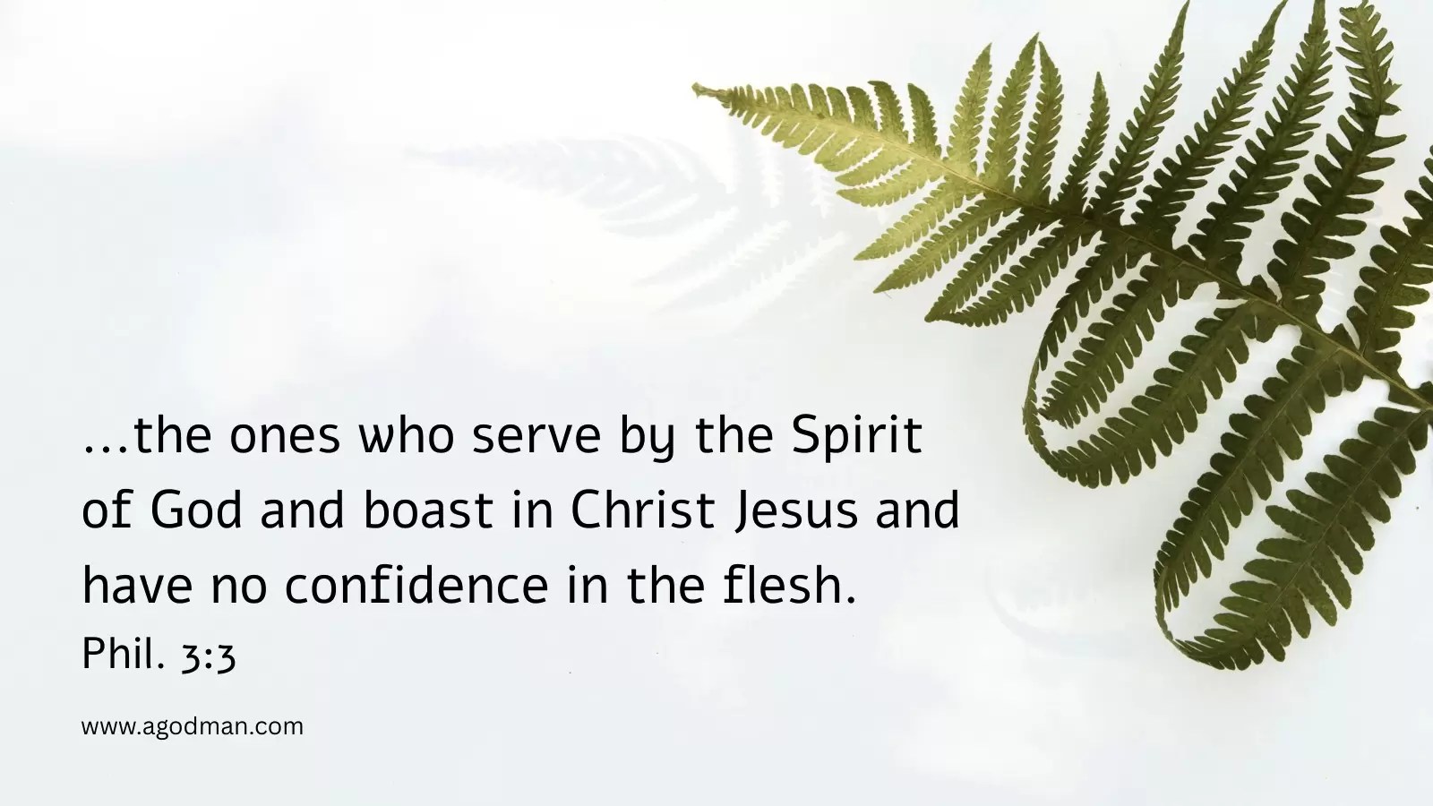 ...the ones who serve by the Spirit of God and boast in Christ Jesus and have no confidence in the flesh. Phil. 3:3
