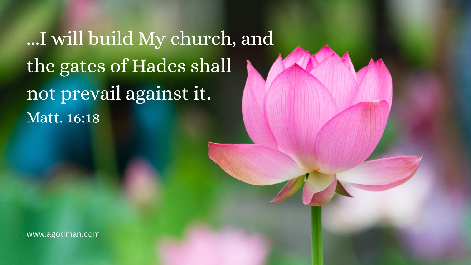 ...I will build My church, and the gates of Hades shall not prevail against it. Matt. 16:18