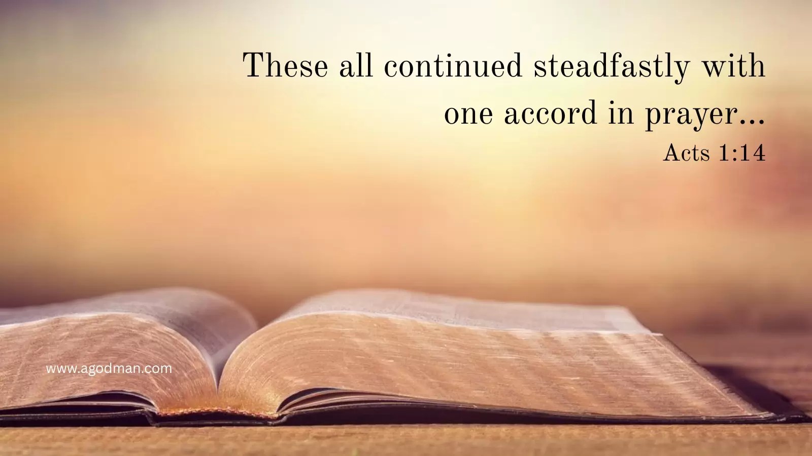 These all continued steadfastly with one accord in prayer... Acts 1:14