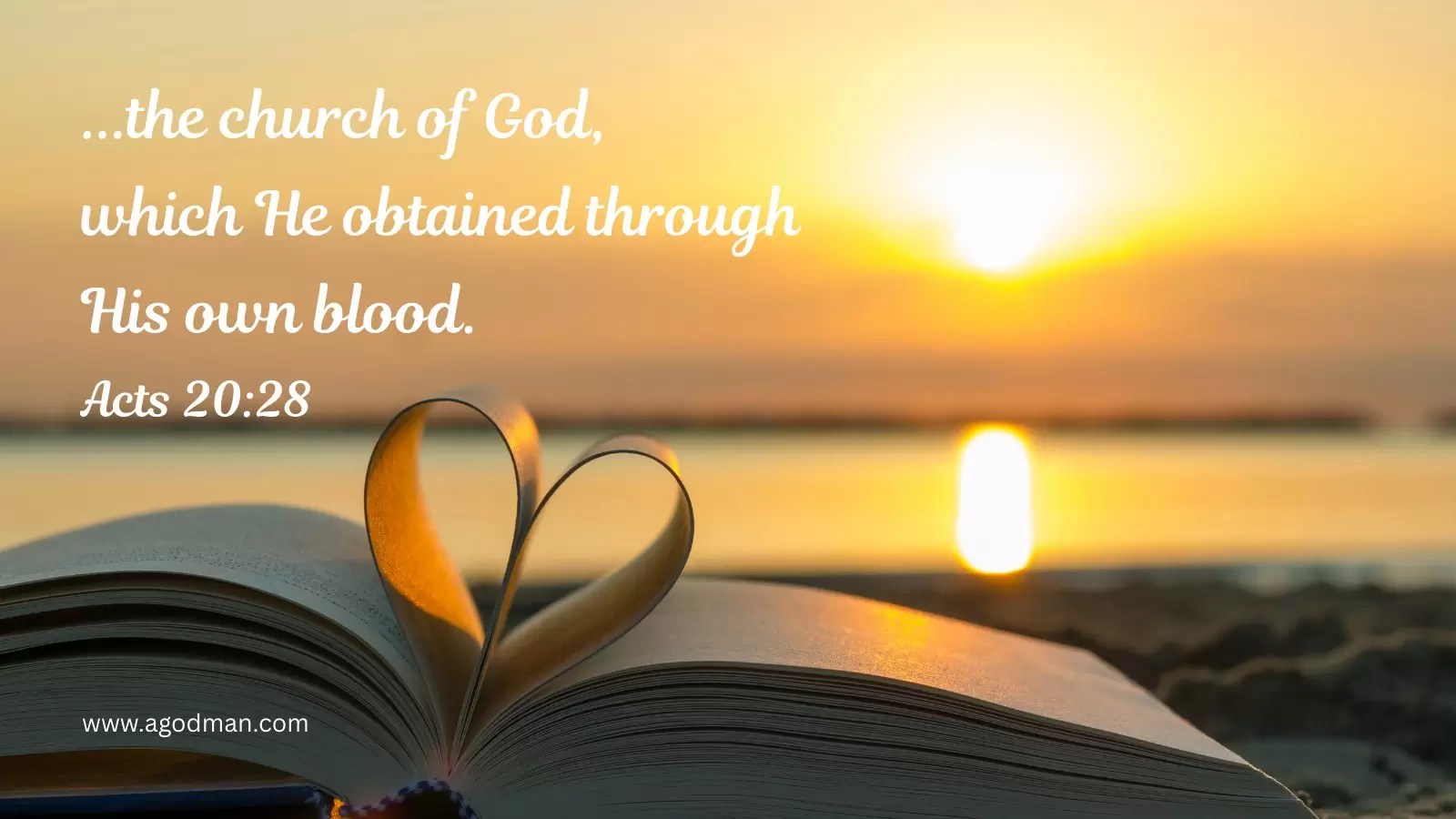 ...the church of God, which He obtained through His own blood. Acts 20:28