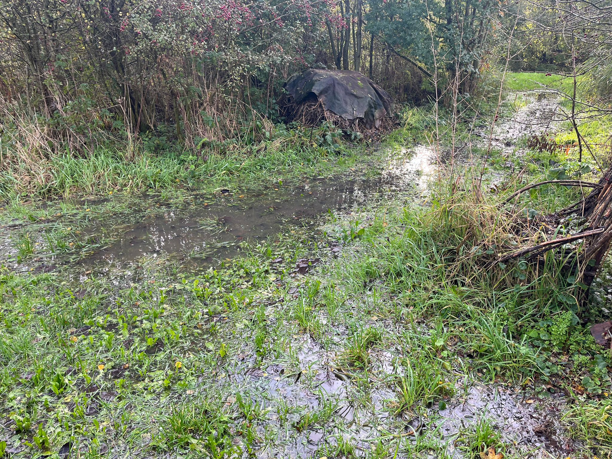 WhatsApp Image 2023-11-04 at 19.59.13