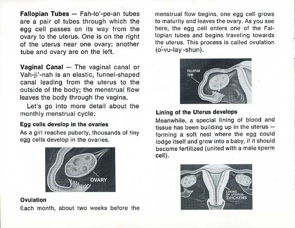 It may also serve as a source of information for patients and carers, and assist. Boys: Have you ever wondered what happens when girls grow up? (1973, Personal Products Co.), at MUM