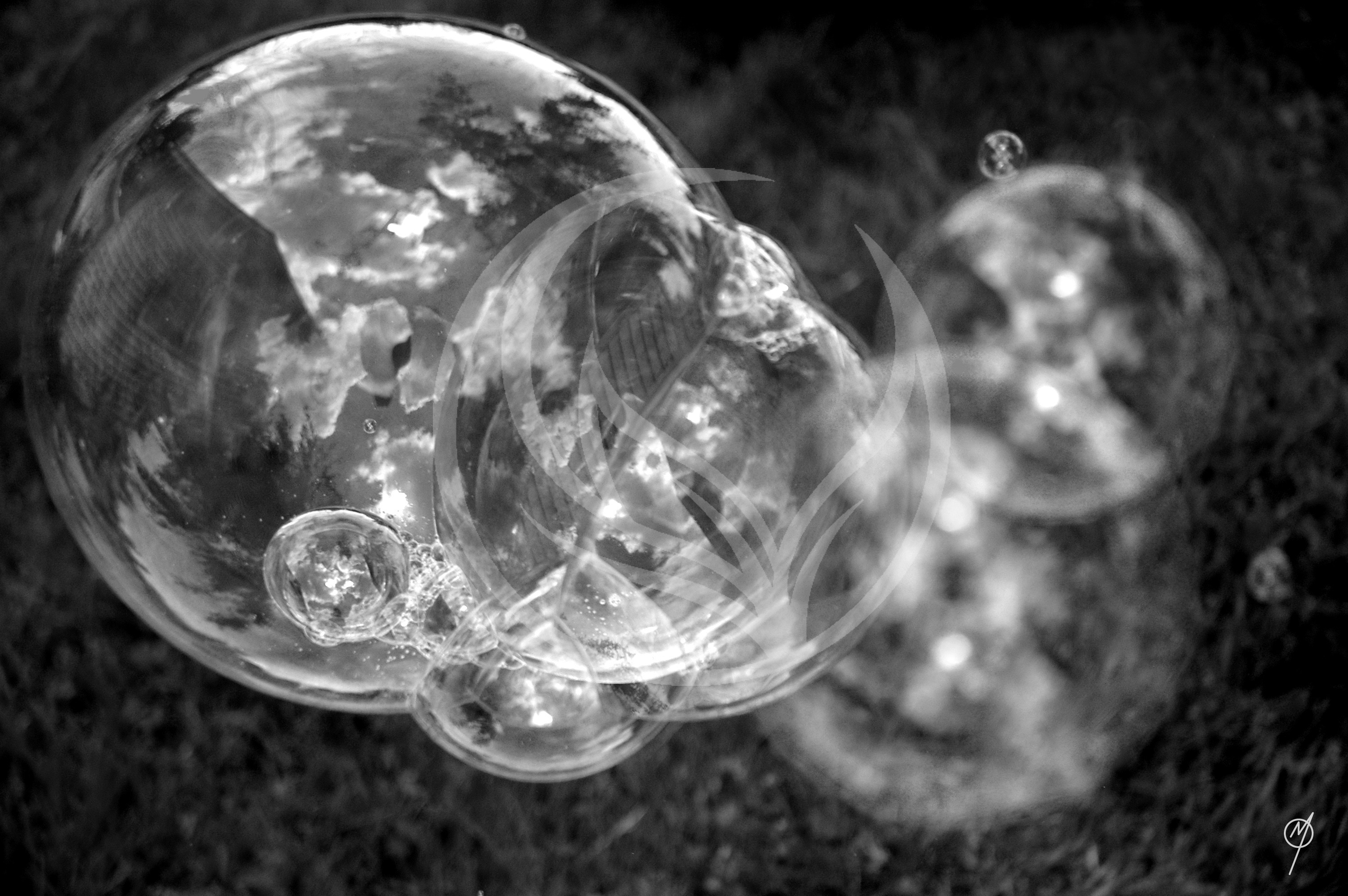 Bubbles (photo)