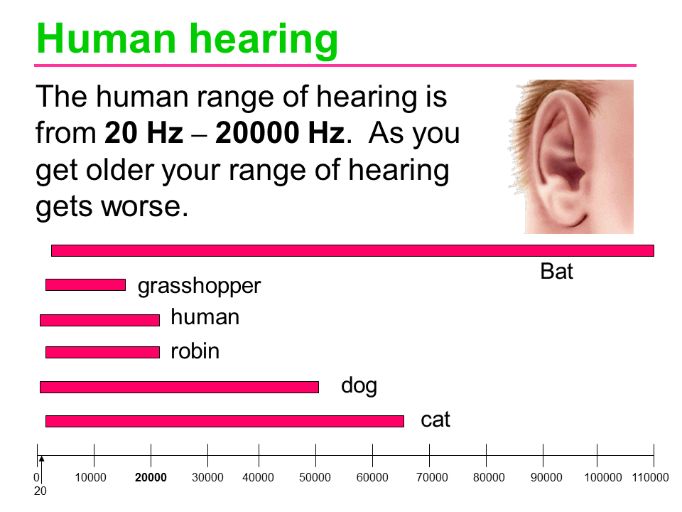 Slide11