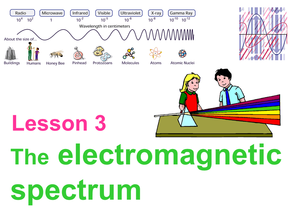 Slide29
