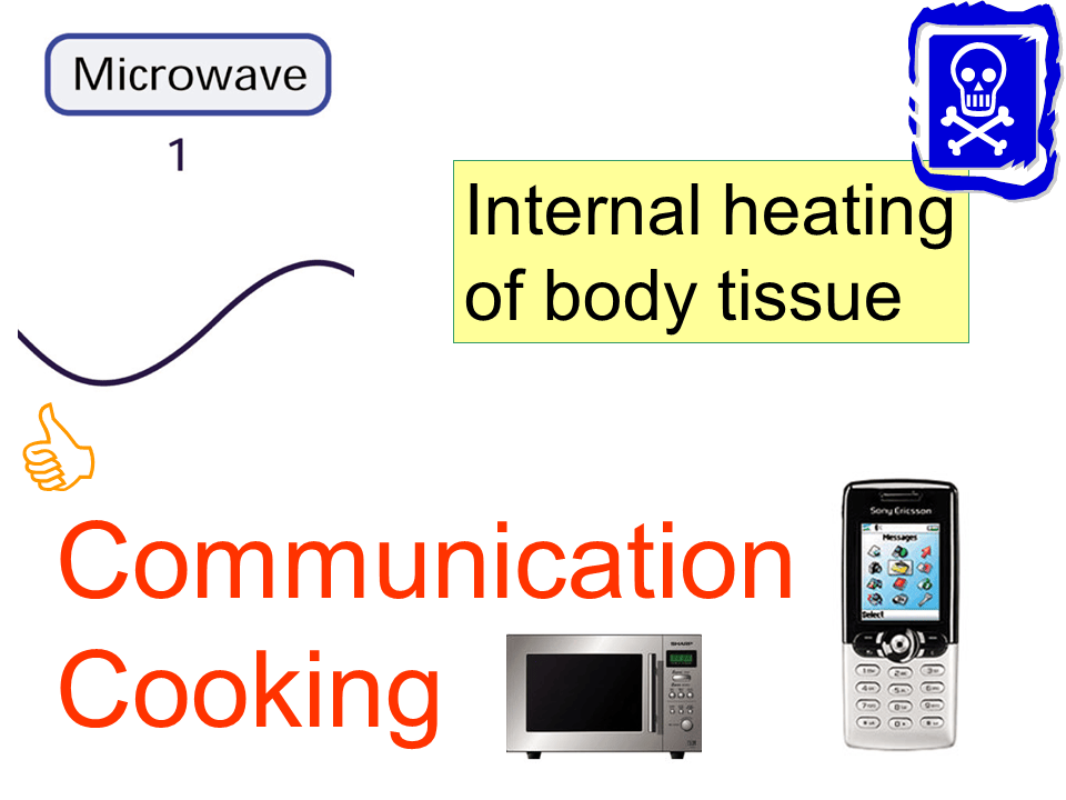 Slide35