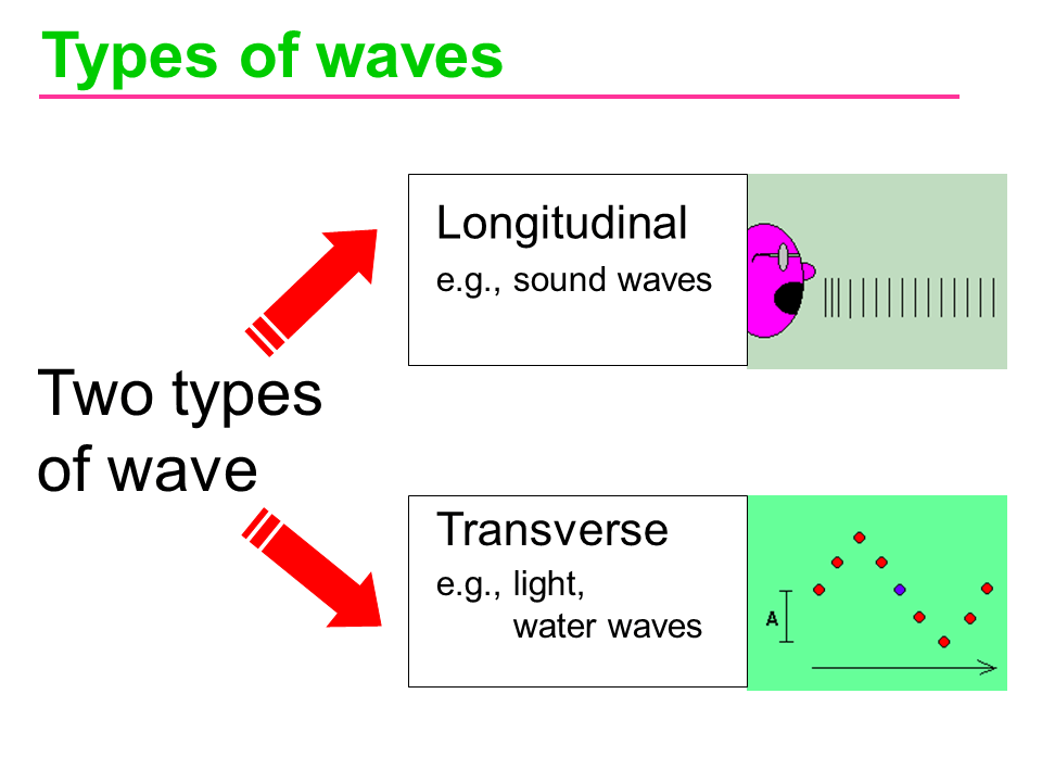 Slide5