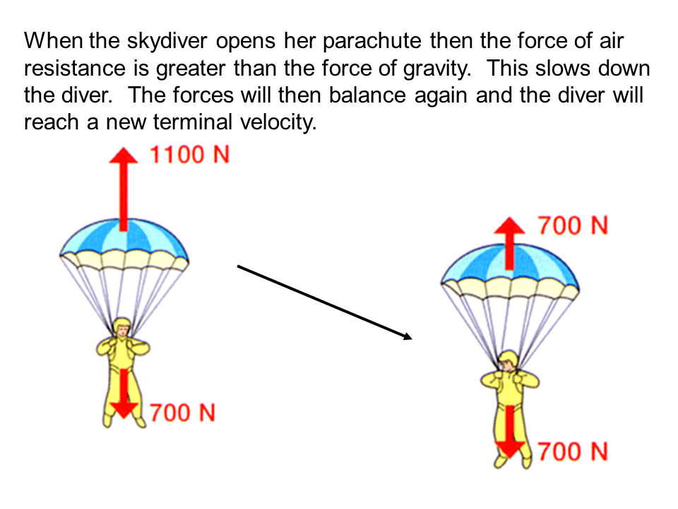 Slide33