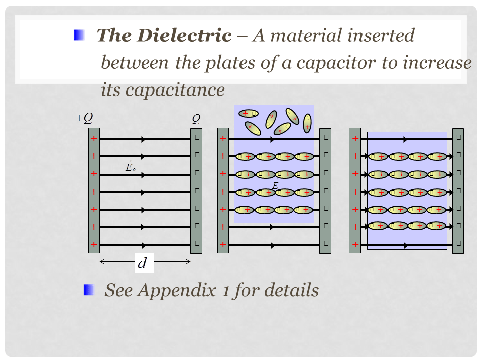 Slide8