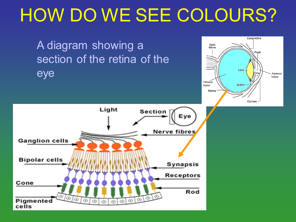 Slide19