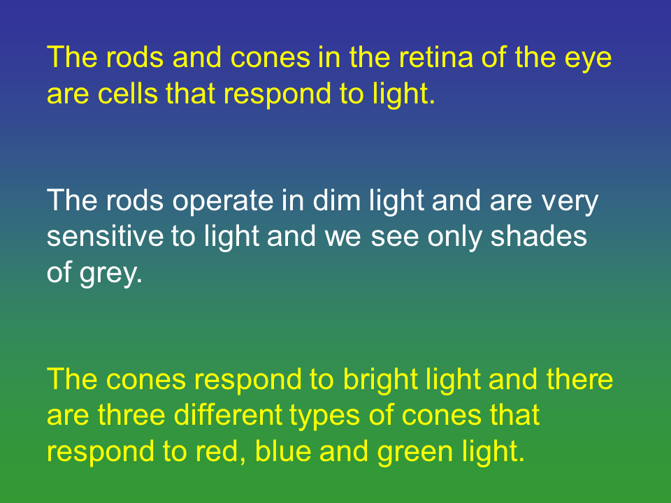 Slide20