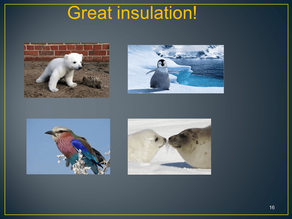 Slide16