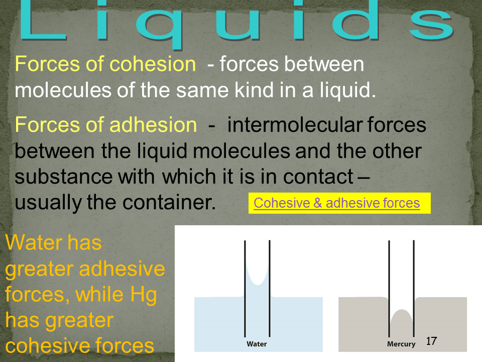 Slide17