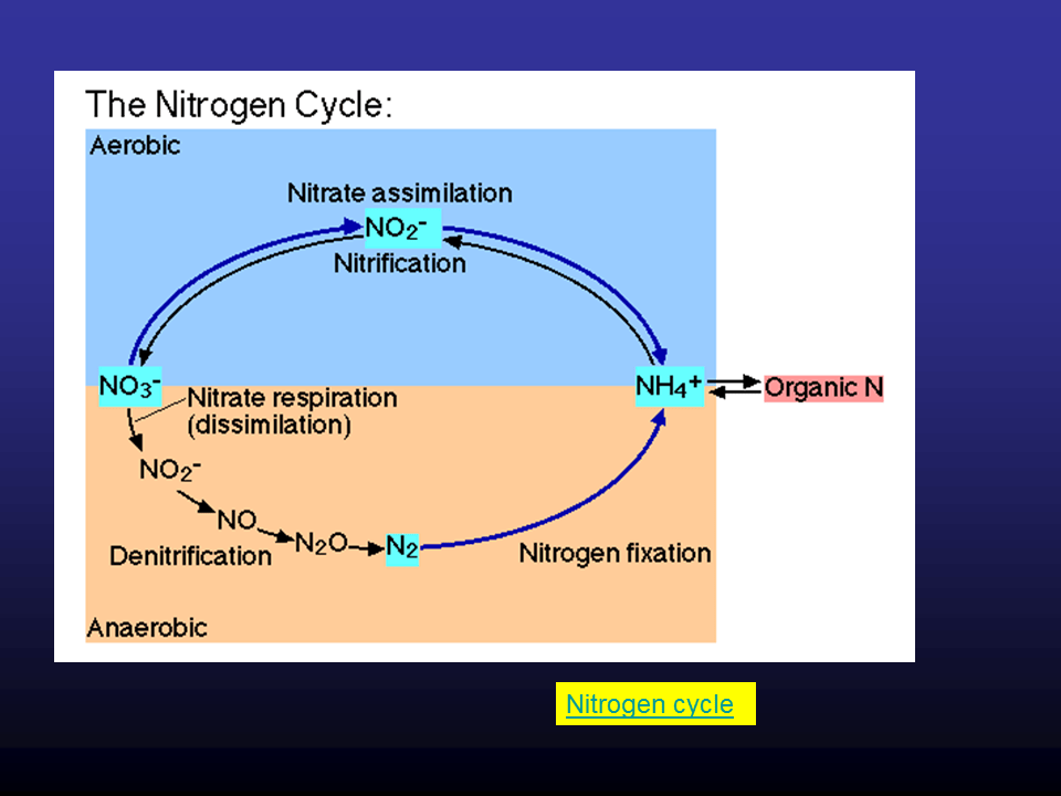 Slide2