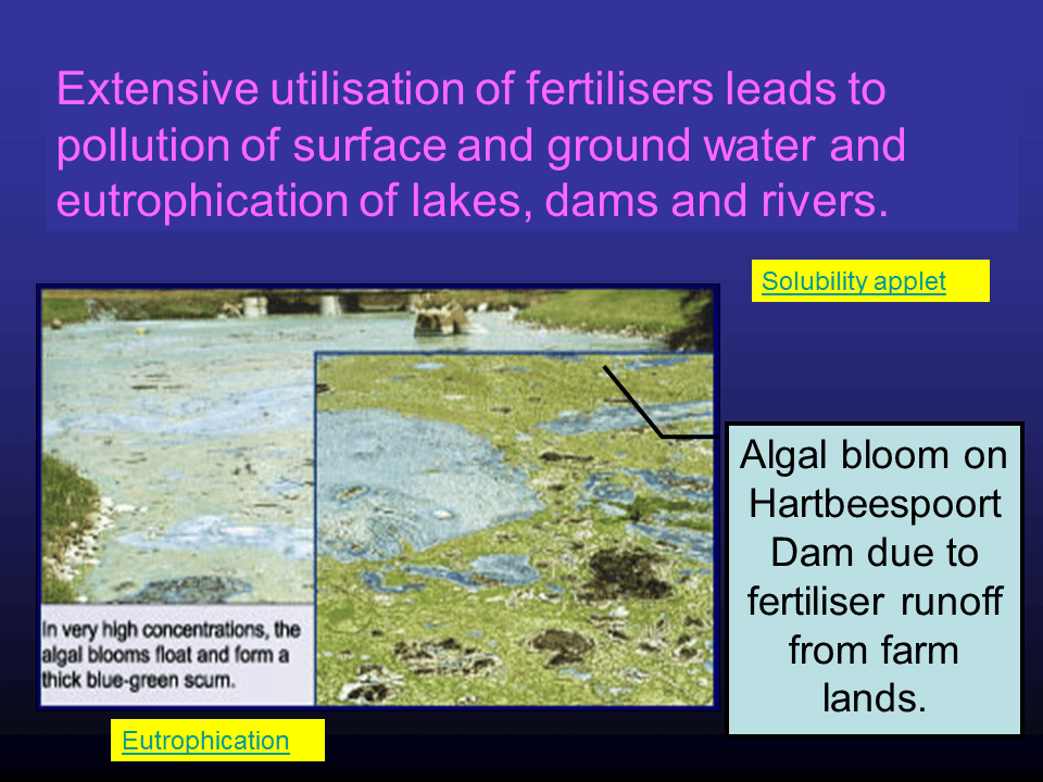 Slide8