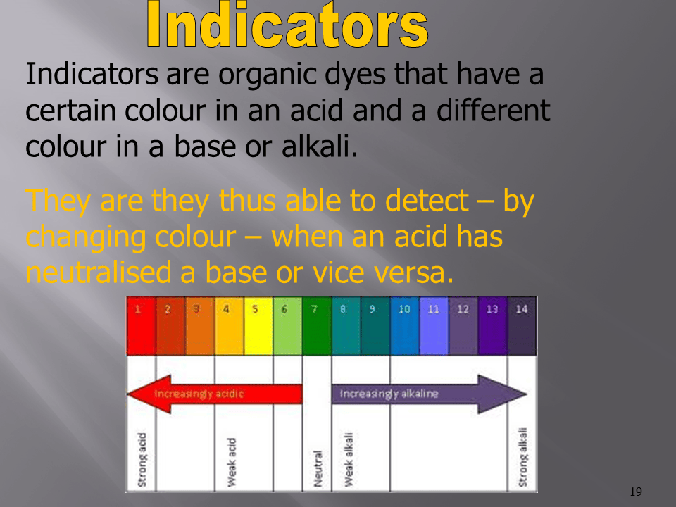 Slide19