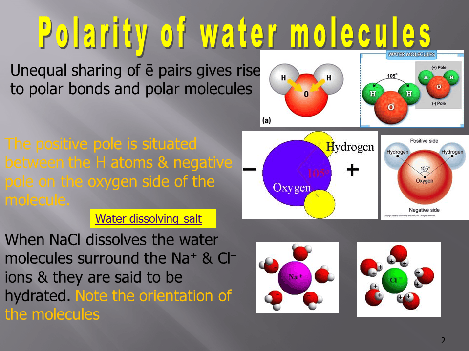 Slide2