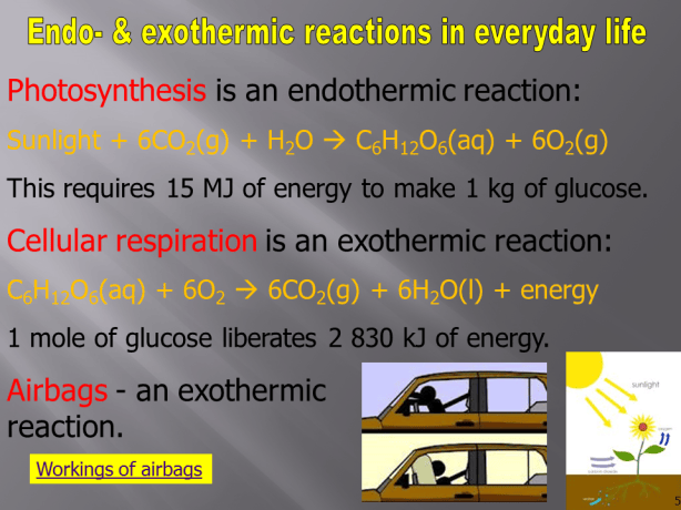 Slide5
