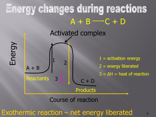 Slide8