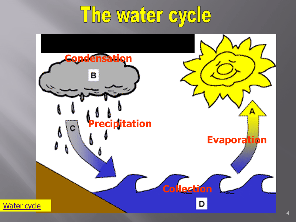 Slide4