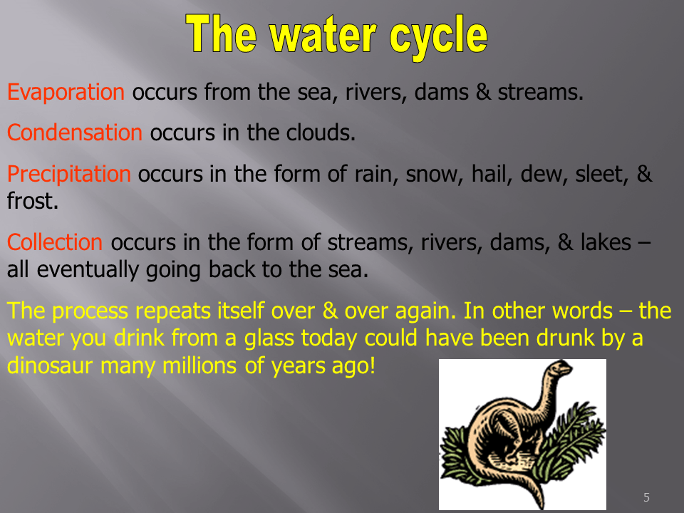 Slide5