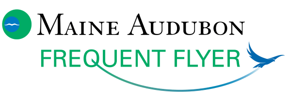 Frequent Flyer