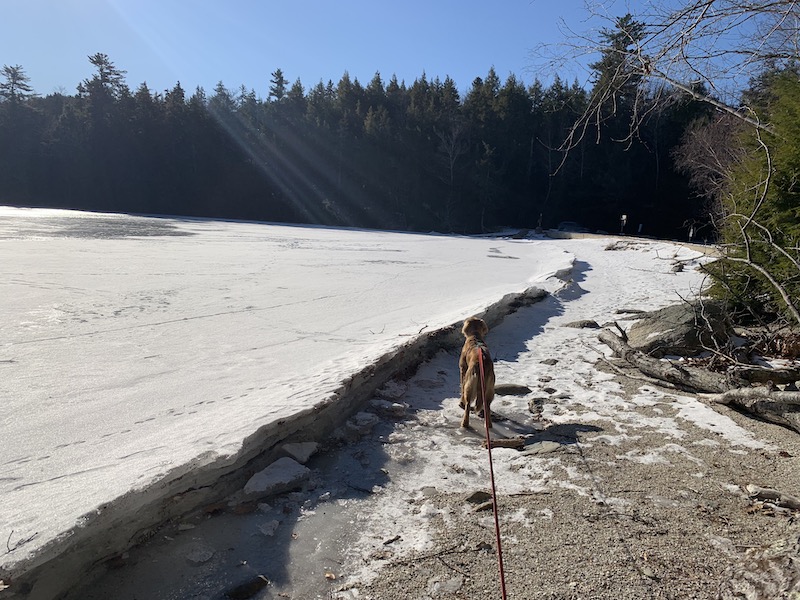 Craig Brook Fish Hatchery, Orland Maine by Foot