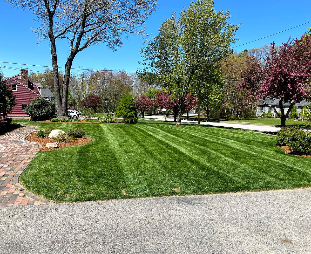 Beautiful landscape and the sidewalk with green grass and colorful of tree with blue sky nature background in good weather