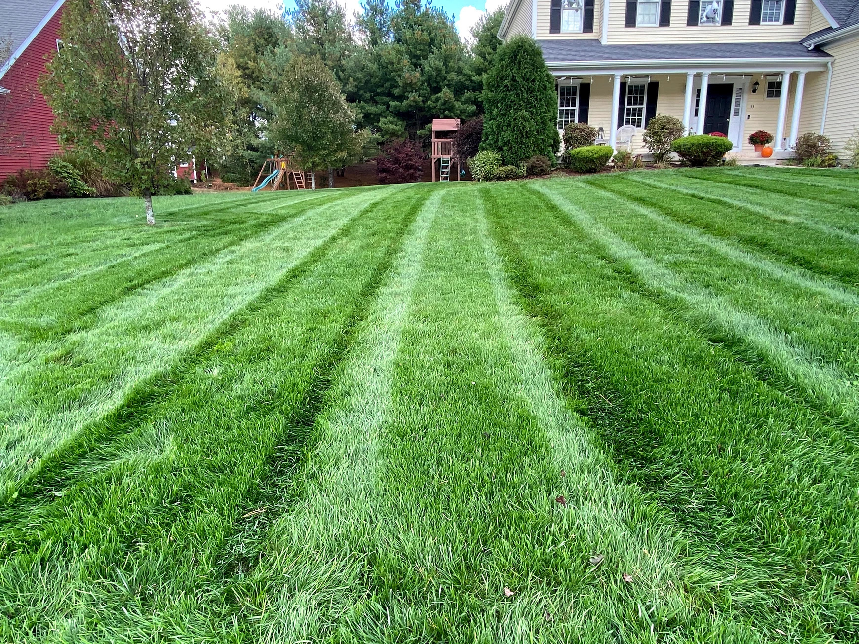 Green Lawn Care