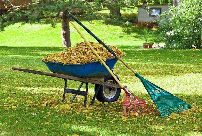 raking leaves and cleaning up a yard during the spring/fall season