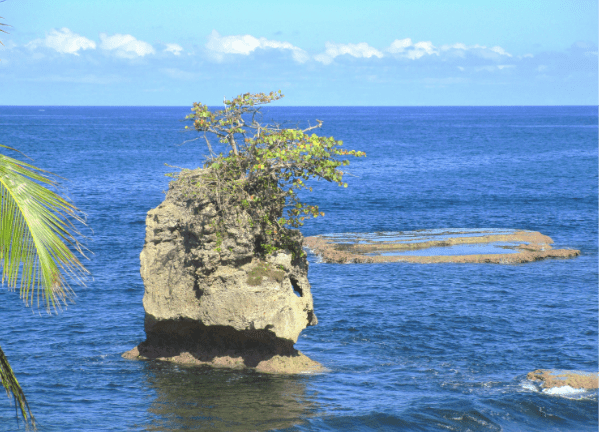 Un mágico lugar: Puerto viejo, Costa Rica.