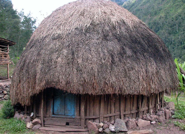 Rumah adat yang pertama adalah honai. L'architecture traditionnelle en IndonÃ©sie