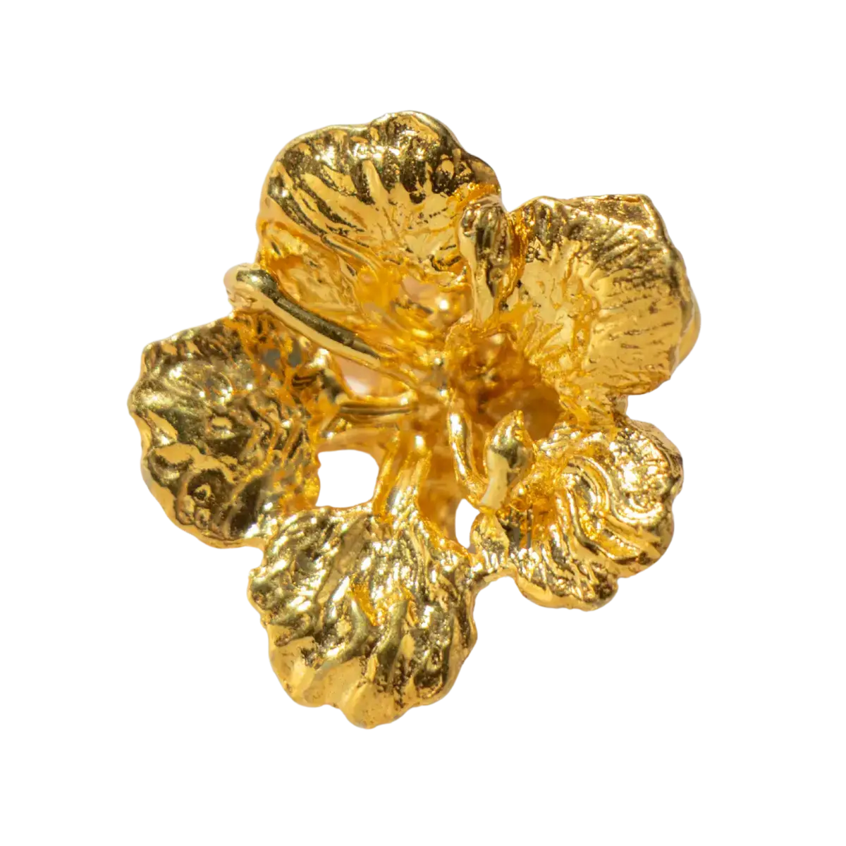 Flamboyan Oro - Image 6