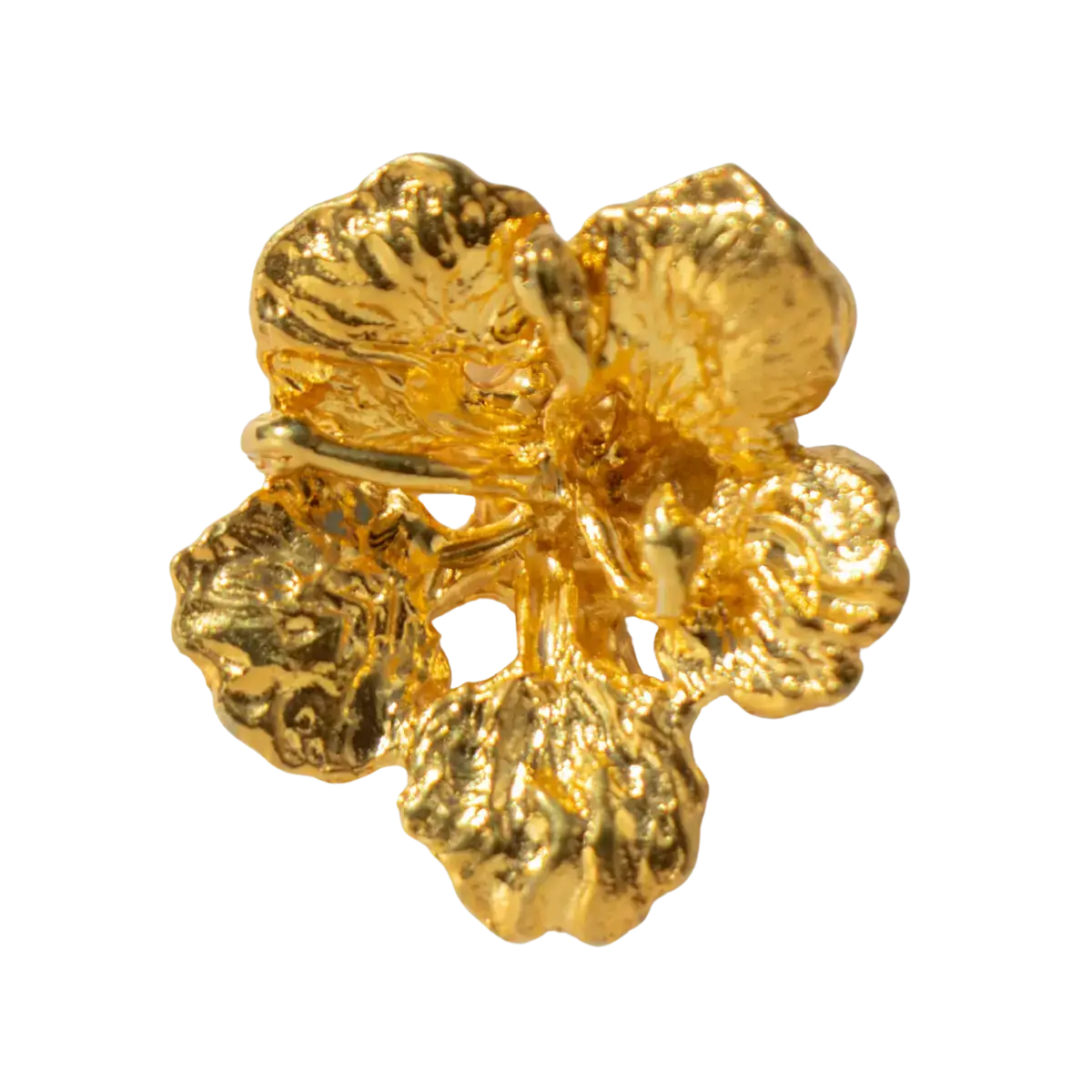 Flamboyan Oro - Image 8