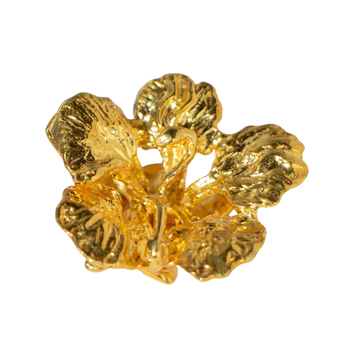 Flamboyan Oro - Image 3