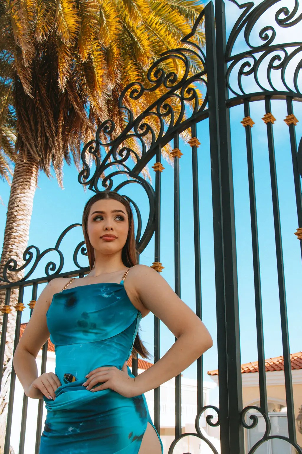 Jeanique Dress - Image 2
