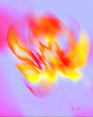 El vuelo del águila