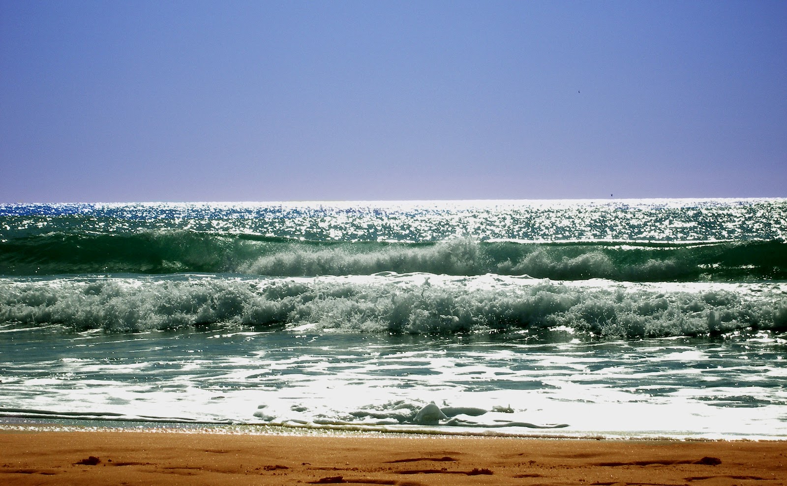 La línea del mar no muere