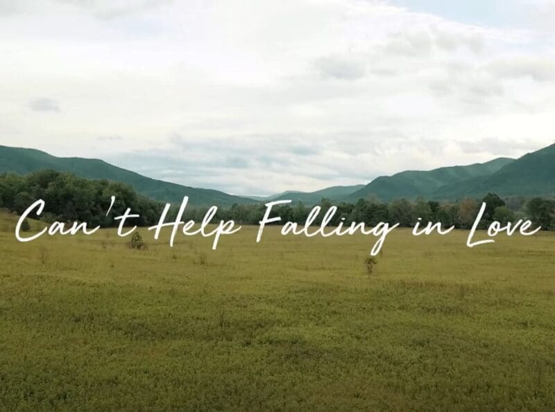 maithengoc.com_Can't Help Falling In Love