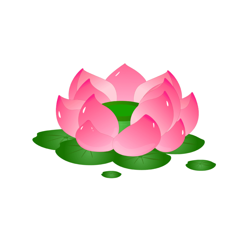 maithengoc.com_Hoa Sen