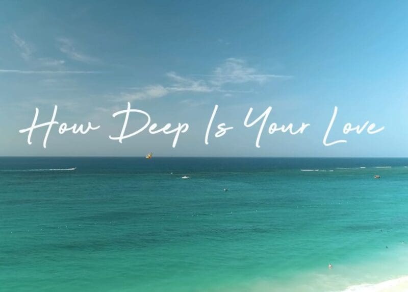 maithengoc.com_How Deep Is Your Love