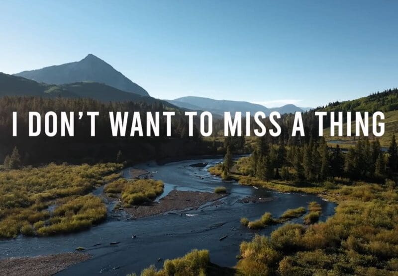 maithengoc.com_I Don't Want To Miss A Thing
